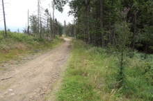 cesta na Slodiovsk vrch