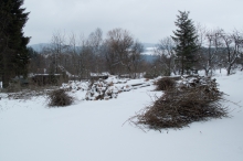 vzorn� nachystan� Pospecovo d�evo, jen odn�st :-)