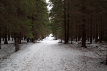 rozlou�en� se zimou