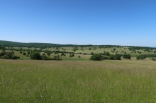 Voj�ick� louky - V�zkum