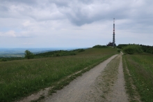 pohled na Velkou Javo�iny ze z�padu (z h�ebenov� cesty)