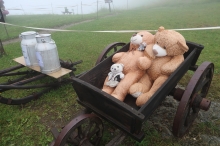 u� jsou i v Alp�ch