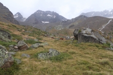 pr��, sp�ch�me, ned�lejte kraviny