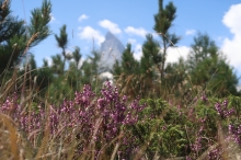 kv�tena a Matterhorn