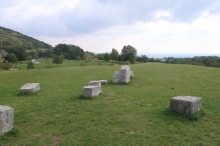 Pfaffenberg - Lebensbaumkreis