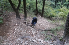 zaj�cova zkratka z Leopoldsberg