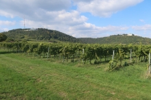 vlevo Josefsdorf, vpravo Leopoldsberg