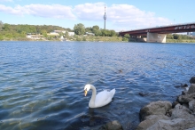 labu��k na Neue Donau