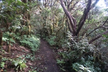 Reserva Natural Integral El Pijaral