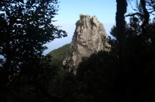 Reserva Natural Integral El Pijaral