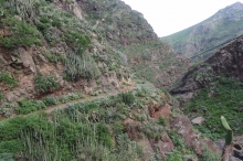 cesta zp�t do Chamorga