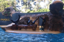 Loro Parque (Puerto de la Cruz)