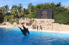 Loro Parque (Puerto de la Cruz)