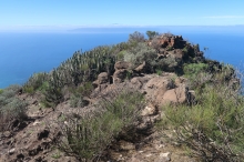 kaktusy pobl� El Agujero