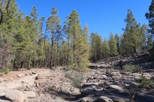 cestou Camino de Chasna k Paisaje Lunar