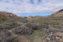 cestou z Arco de Tajao do Sam Miguel de Tajao