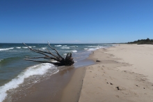 pl� Sobieszewo