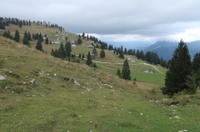 Goj�ka planina