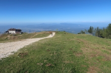 Gospinca