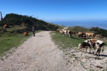 v�stup na Zvoh