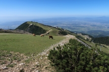 v�stup na Zvoh (zp�tn� pohled na Gospinca)