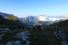 zp�tn� pohled z cesty do sedla Mangart (vlevo Mal� vrh)