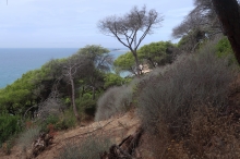 pohled na maj�k Trafalgar cestou z Barbate do Los Canos de Meca