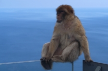 �pan�lsko - Andalusie, Gibraltar (27.9 - 4.10)