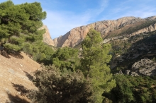 Caminito del Rey