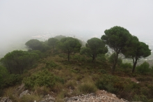cestou z Pico Mendoza